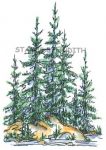 S-37 Pine Trees